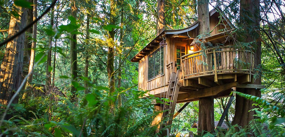 TreeHouse Point, USA