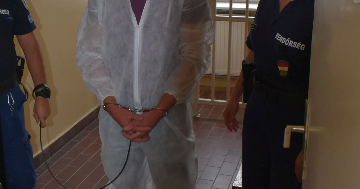 14-szer vágta kését a búvár a fogorvosnőbe – Előbb pert indított, majd ámokfutásba kezdett Sándor