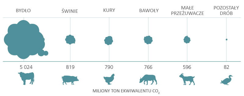 Globalne szacunki emisji gazów cieplarnianych z podziałem na kategorie zwierząt hodowlanych. Wlicza się w to emisje przypisywane do żywności, ale także innych produktów takich jak wełna.