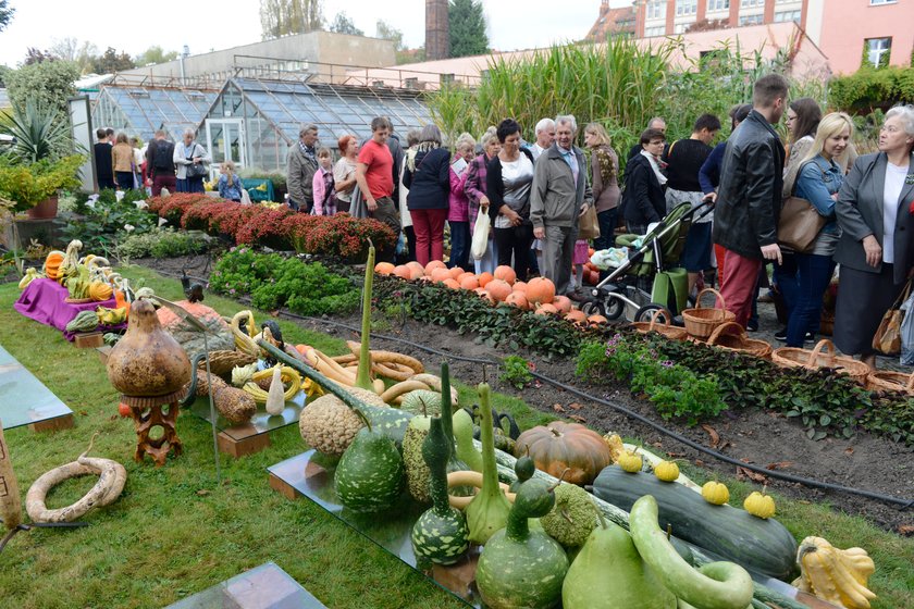 Ogród Botaniczny we Wrocławiu