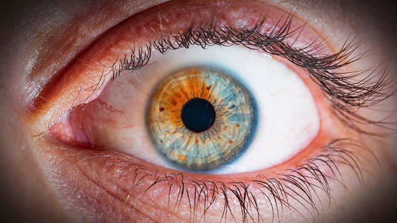 Czy cierpisz na ślepotę barw? Sprawdź swój wzrok w quizie!