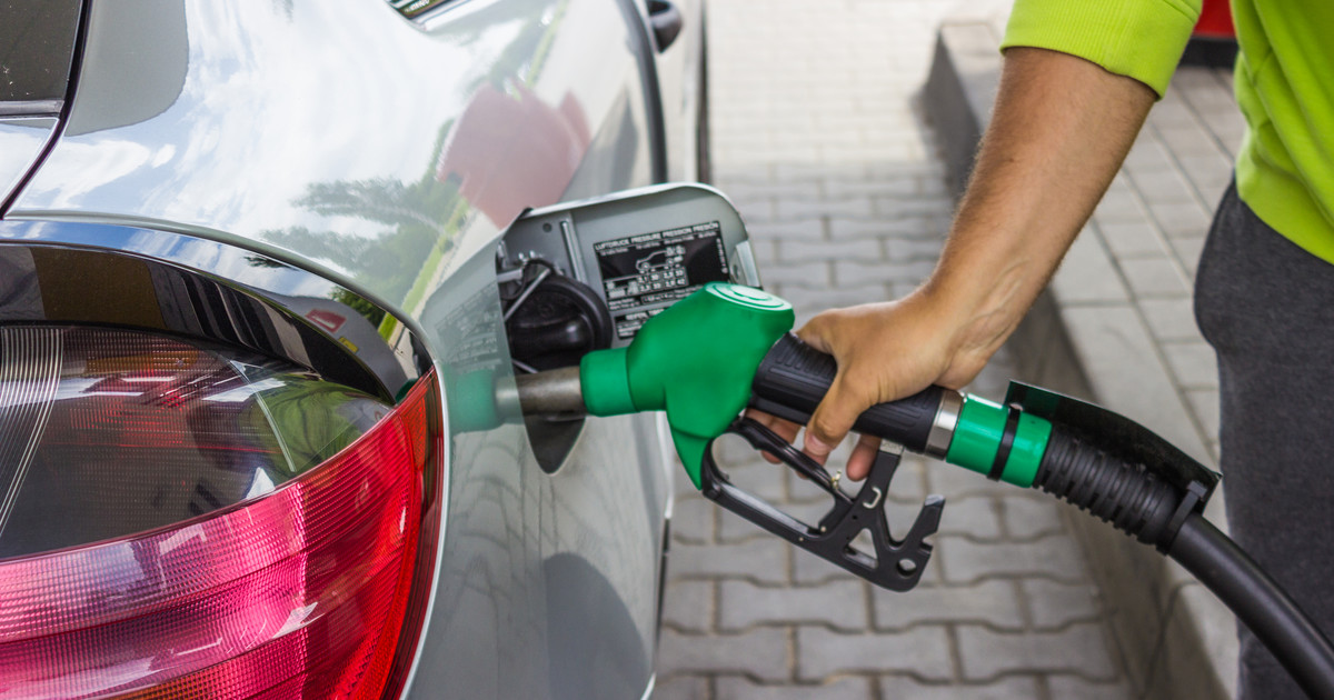 Record turnover of petrol stations in Poland.  “There is no reason to buy fuel in reserve”