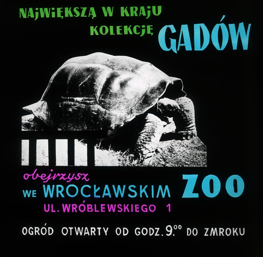 Jedna z reklam zoo z czasów PRL