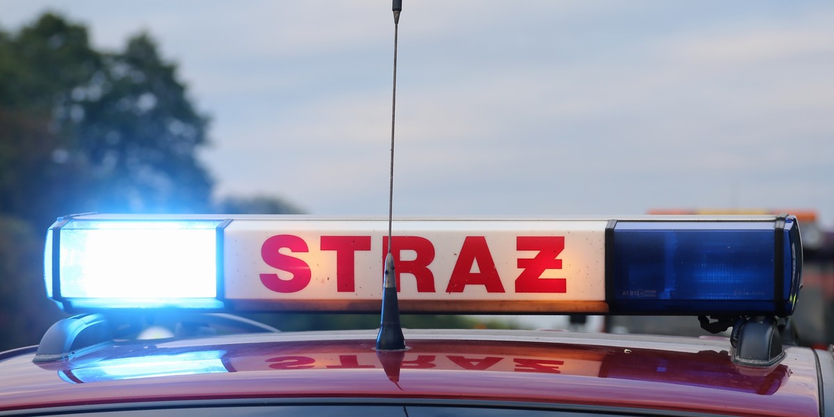 siestrzeń wypadek polski bus