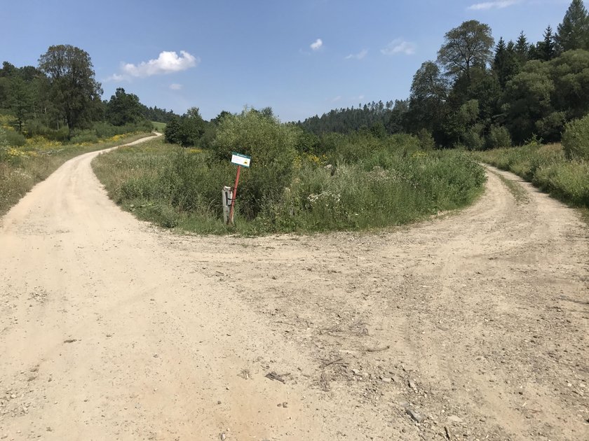 Groźne spotkanie z niedźwiedziem