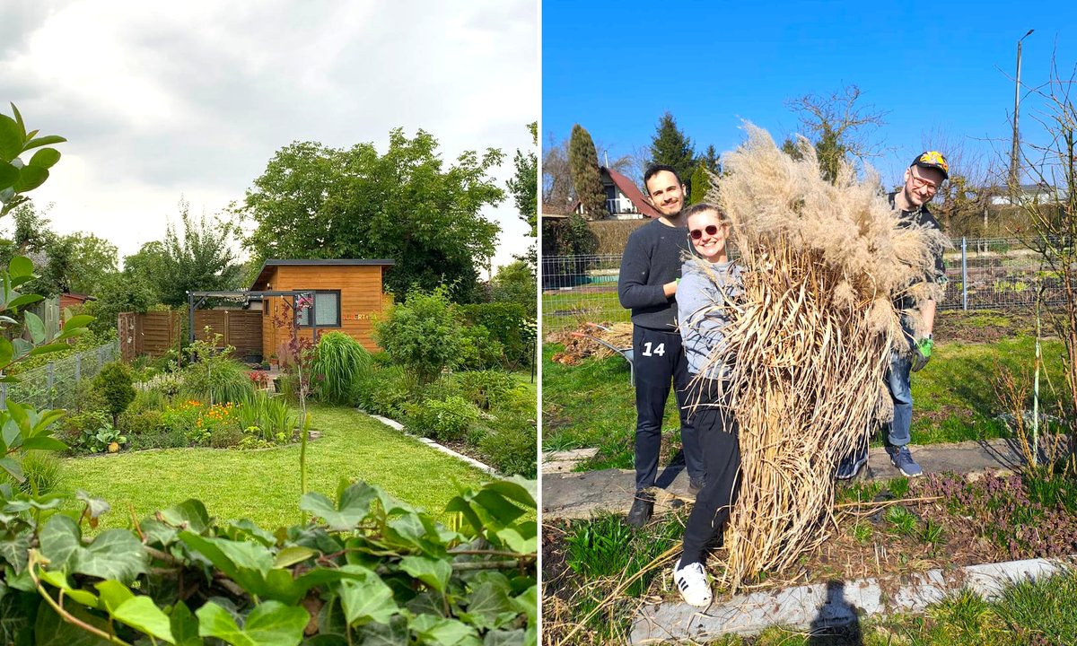 Kupili działkę ROD za 11 tys. zł. Sąsiedzi zza płotu mówili "stop"
