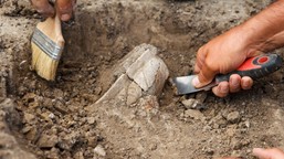 niesamowite odkrycie w pobliżu parku historycznego blizna. archeolodzy zdumieni