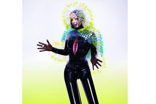 Bjork Vulnicura