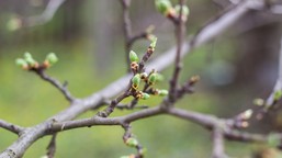 pogoda na wiosnę i lato. meteorolodzy biją na alarm. "to będzie koszma