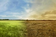 Landscape of meadow field with the changing environment