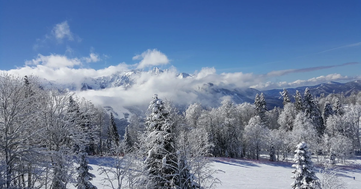 Arktyczny atak zimy uderzy we wtorek. Mróz do -30°C i potężne śnieżyce sparaliżują Polskę. Prognoza na styczeń 2026