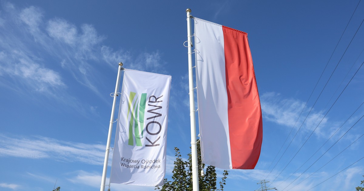 Rolna ekipa PiS powołała dziwaczną spółkę. Po roku z 200 mln nie zostało prawie nic