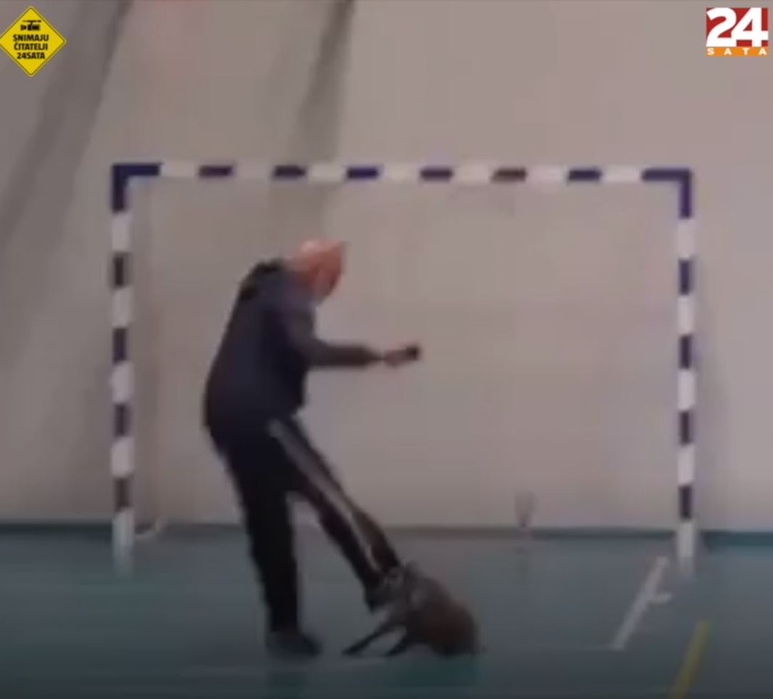 Profesor šutira divlju svinju u školskoj hali