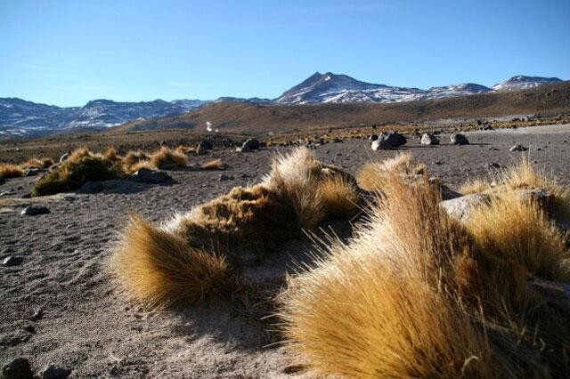 Galeria Chile - Atacama, obrazek 49
