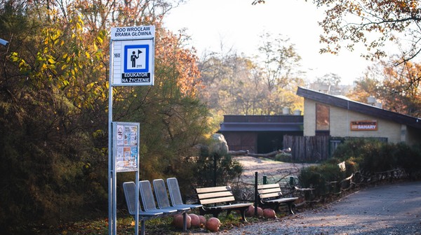 Przystanek edukacyjny stąd wyruszają wycieczki z przewodnikiem