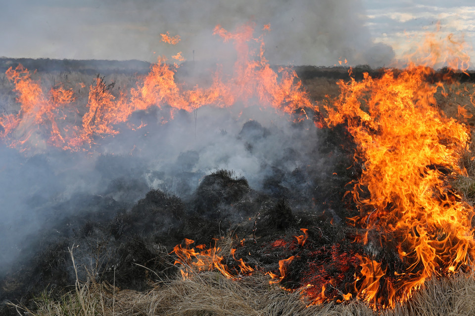 Biebrzański Park Narodowy. Pożar ponownie niszczy torfowiska i lasy