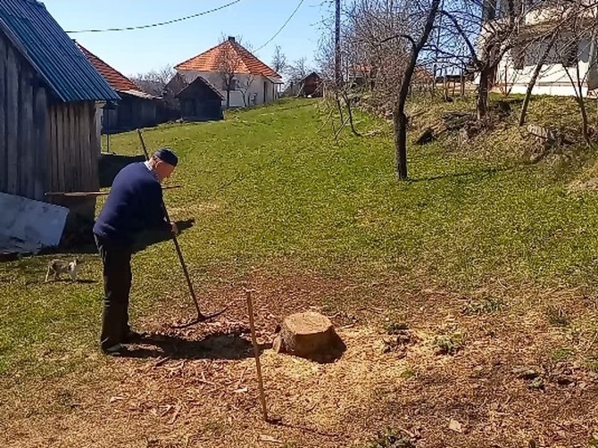 Radosav Ilić