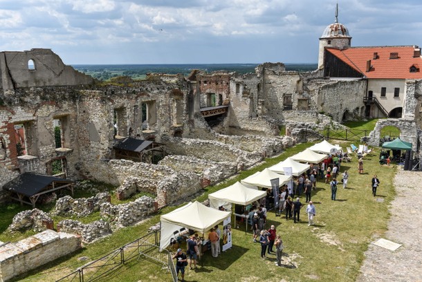 Święto Wina na zamku w Janowcu