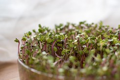 Znudziła ci się rzeżucha na wielkanocnym stole? Dwie modne alternatywy