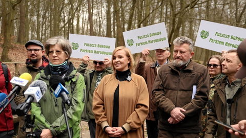 Lasy Państwowe wstrzymały wycinkę w Puszczy Bukowej. „Historyczny dzień”