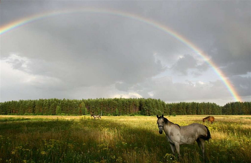 Agroturystyka na Mazurach - pomysł na emeryturę?