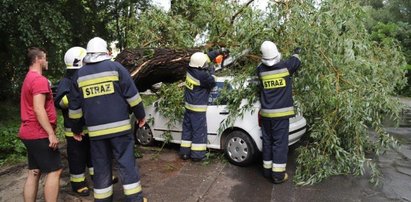 Gradobicie pod Opolem. Coś takiego mogło zabić!