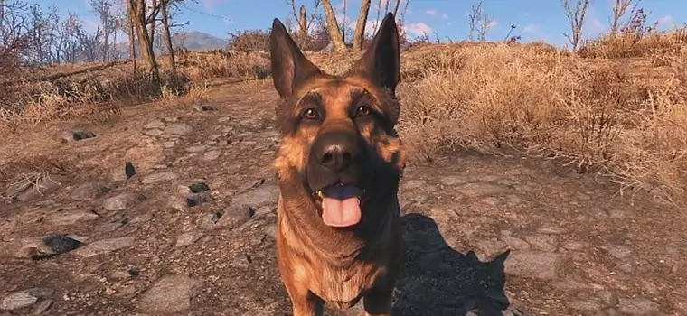 Fallout 4: poznajcie psiaka, na podstawie którego stworzono Dogmeata