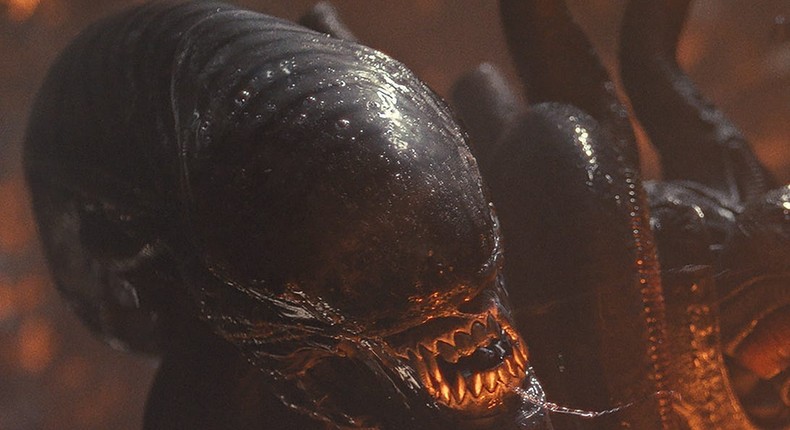 The Xenomorph in Alien: Romulus.20th Century Studios