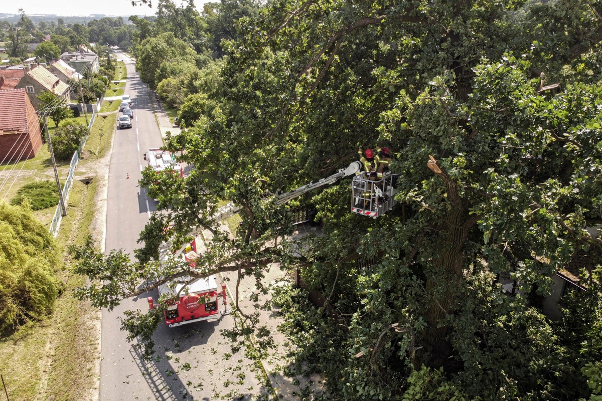 Usuwanie zniszczeń po burzy