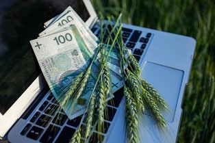 Rolniku, zostały tylko 2 tygodnie! Każdy dzień zwłoki to pieniądze w błoto!