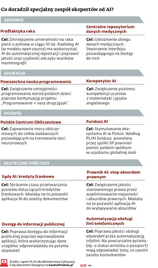 Co doradził specjalny zespół ekspertów od AI?
