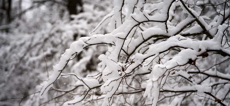 Od poniedziałku wraca zima. PROGNOZA POGODY