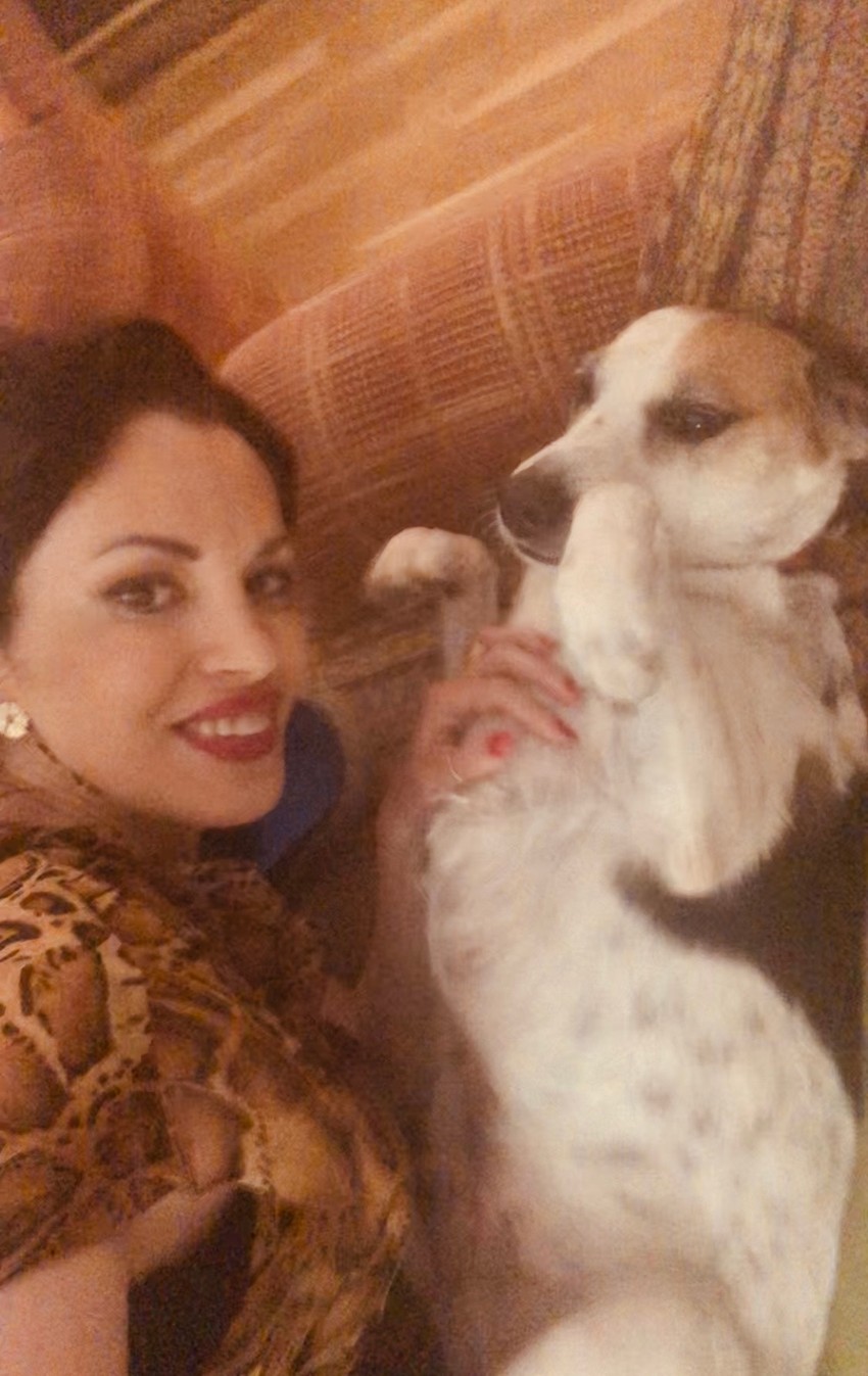 Povratk Žikine dinastije