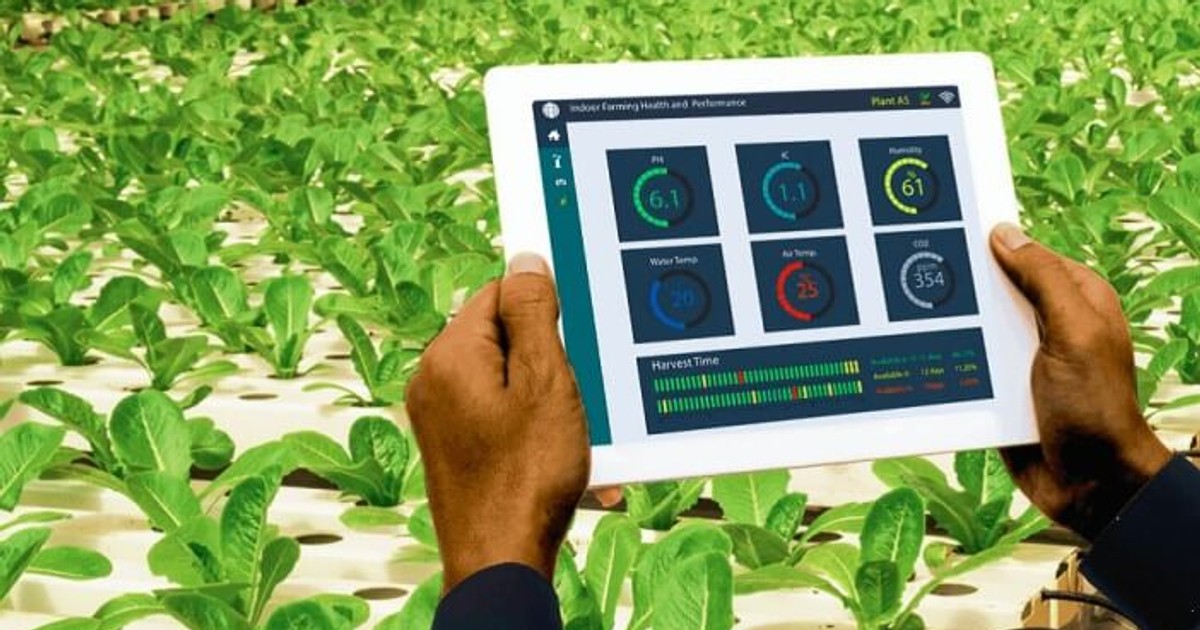 Kenya is the top destination for agritech investments in Africa