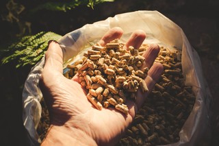 Ile kosztuje pellet w lipcu 2025? Aktualne ceny pelletu