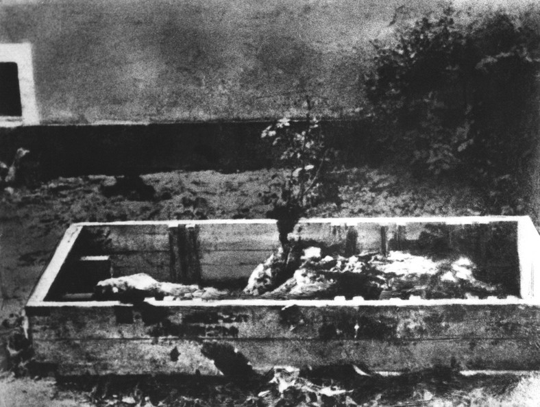 Zdjęcie prawdopodobnie przedstawiające zwęglone ciało Adolfa Hitlera w drewnianej skrzyni, kwiecień 1945 r. w Berlinie.
