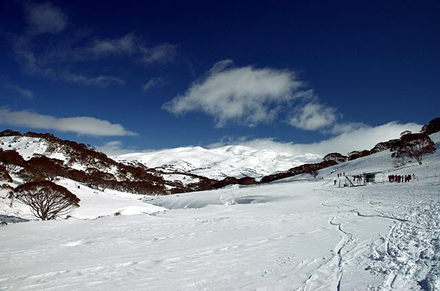 Galeria Australia - Góry Śnieżne, obrazek 9