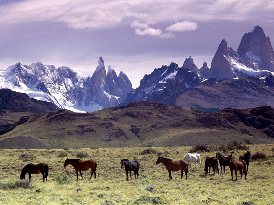 5. Patagonia