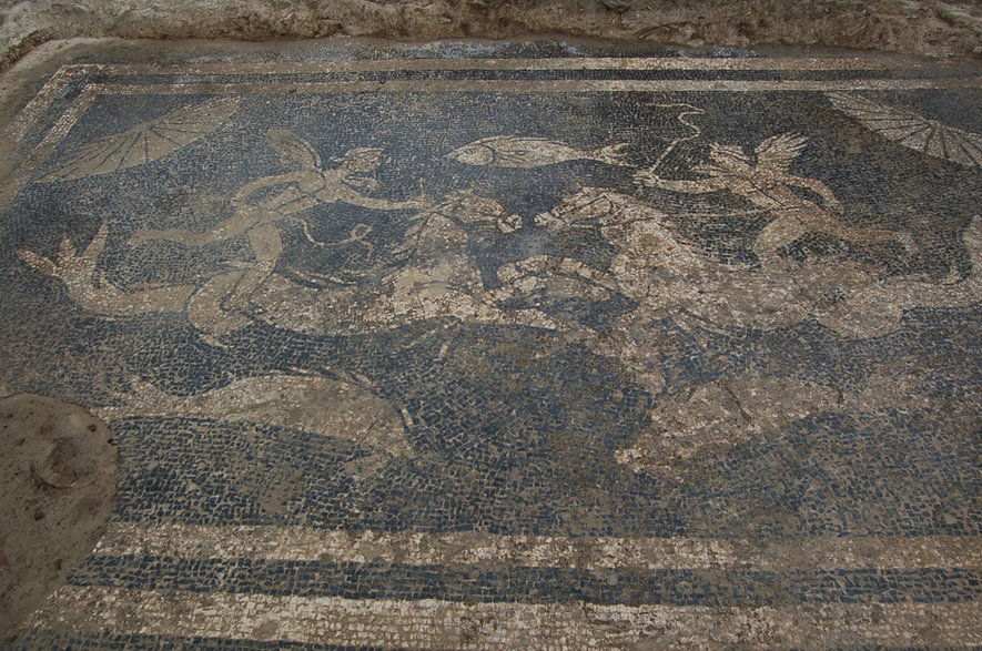 Mozaika z nieznanego rzymskiego miasta