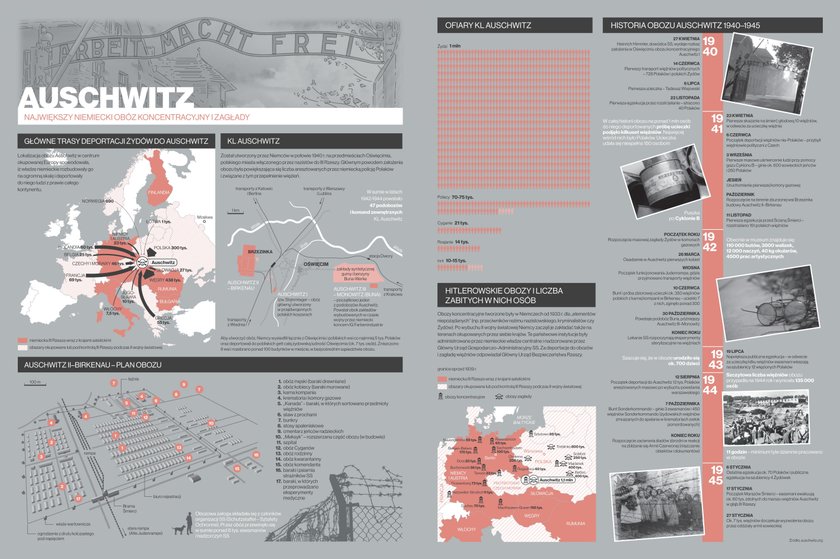 „Infografika. Wiedza w obrazach"