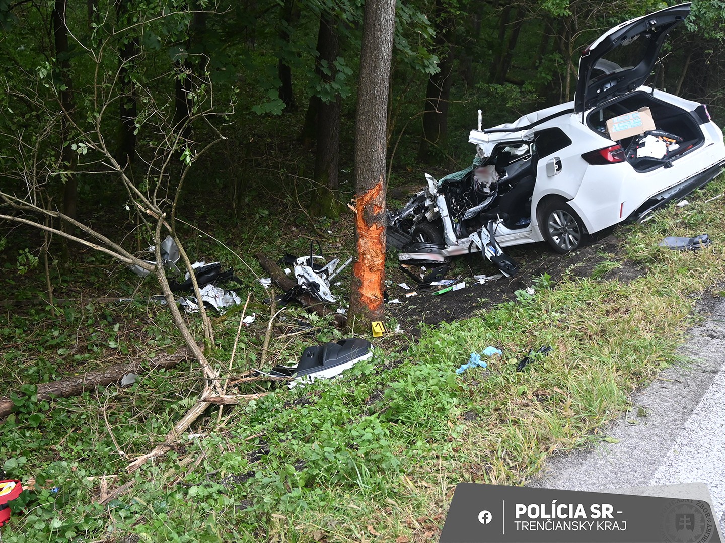 Vodič po náraze do stromu pri Kľačne bojuje o život.