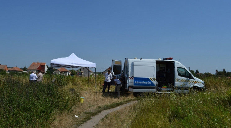 A kislány életét vesztette /Fotó: police.hu