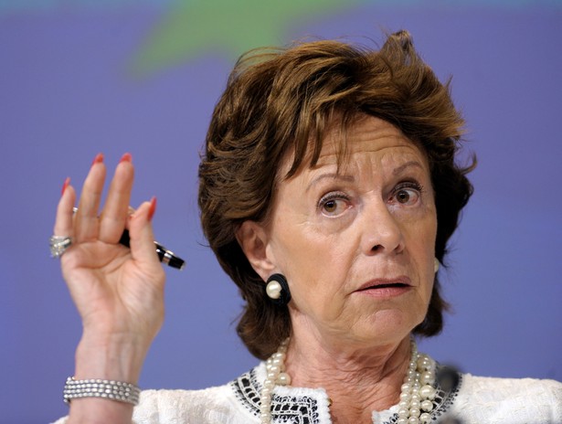 Neelie Kroes