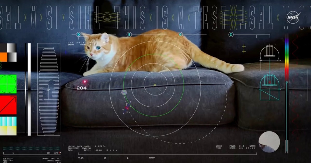 A NASA cat named Taters makes history by starring in the first ultra-HD ...