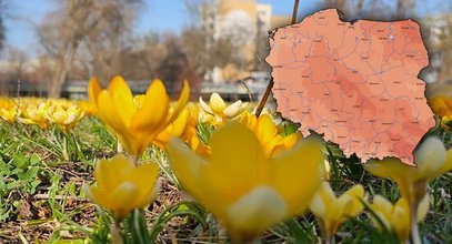 Dzisiaj szykuje się uderzenie ciepła. Temperatura, która zdarza się raz na 20 lat