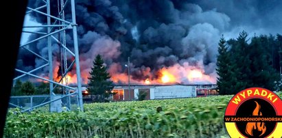 Tragiczny pożar w Zachodniopomorskiem. W chlewni znaleziono zwęglone zwłoki