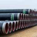 Decyzja Danii dot. Baltic Pipe "nie ma drugiego dna" - zapewnia ambasador