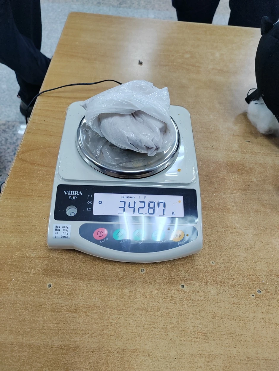 Droga pronađena u plišanom medi 