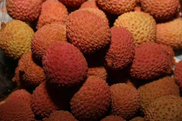 Lychee