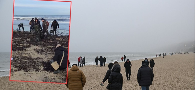 Bałtyk wyrzucił na brzeg prawdziwe skarby. "Co tu się dzieje" [WIDEO]